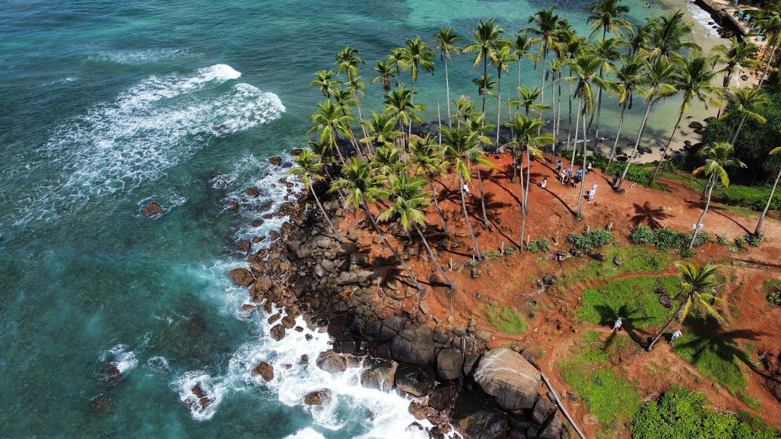 Weligama Surf & Turtle Day